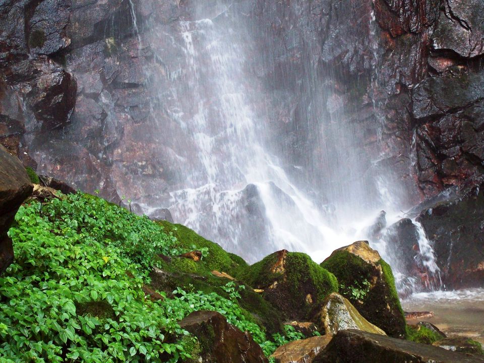 Photo of Tirthan Valley: A sneak peek into the trails of Jalori Pass, Serloskar Lake and Gahidhar Falls. by Priyanka Bansal