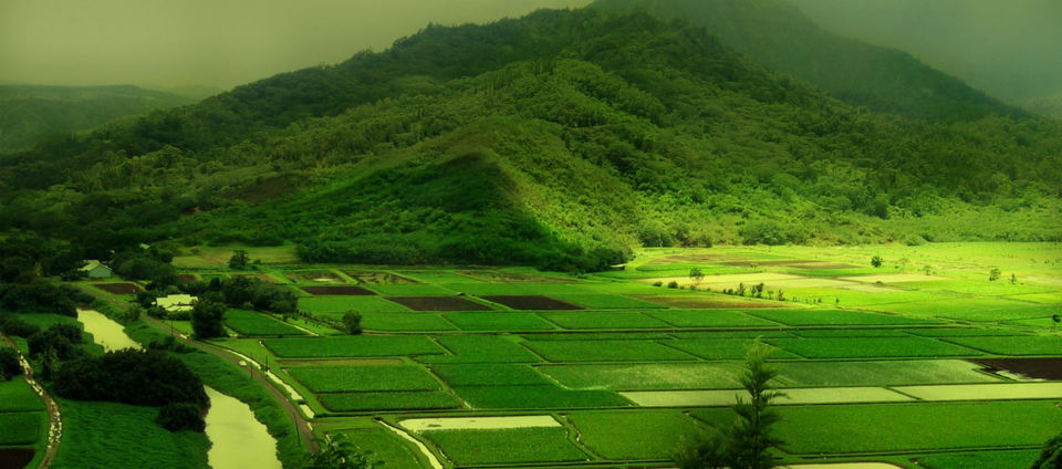 Photo of KARNATAKA - One State. Many Worlds! 2/9 by Rohan Mohammad