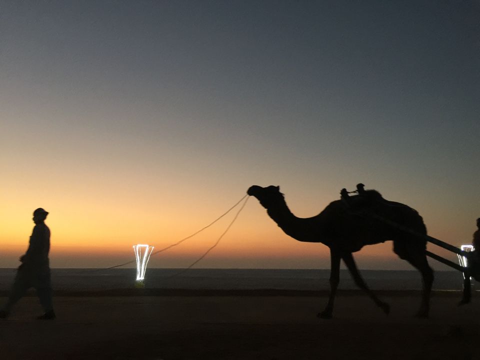 Photo of Infinity - The Great Rann of Kutch - A 2 wheeler Traveller's Diary 1/1 by RohaN MohammaD
