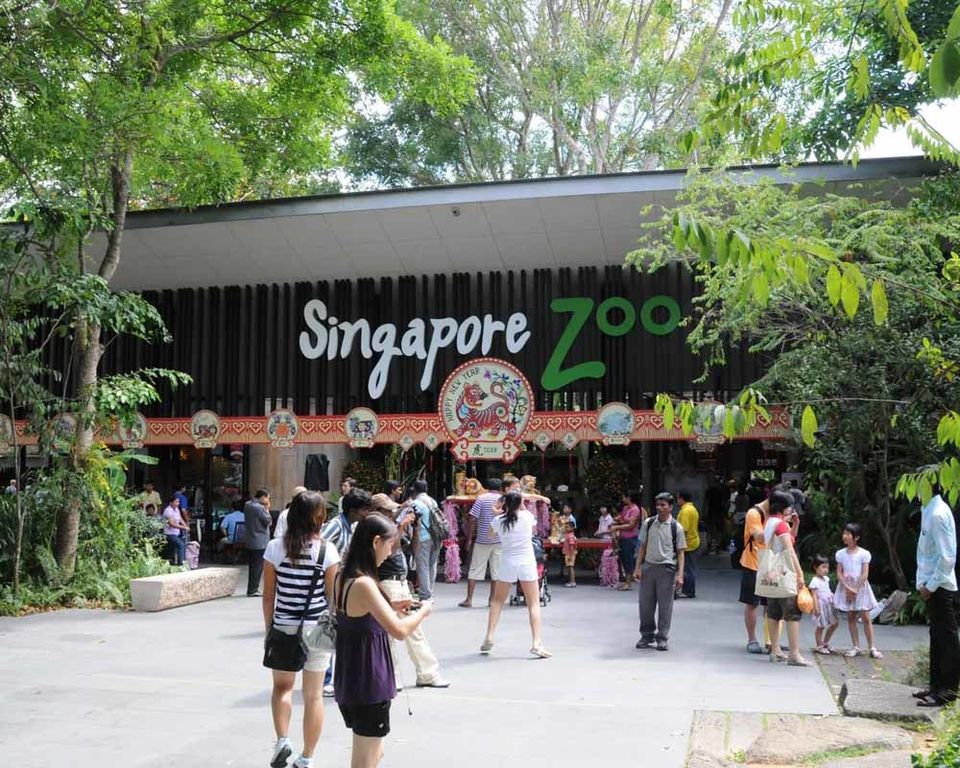 Photo of Places To Visit In Singapore 5/10 by Pankti Shah
