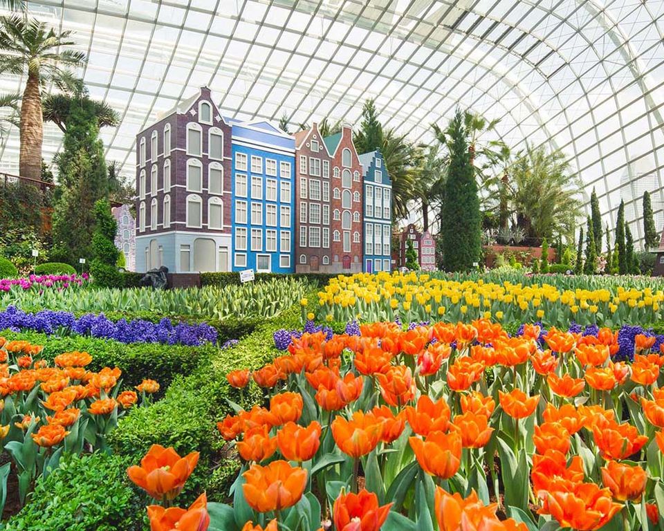 Photo of Places To Visit In Singapore 8/10 by Pankti Shah