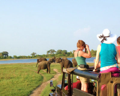 Photo of Sri Lanka- Places To Visit In Sri Lanka 7/7 by Pankti Shah