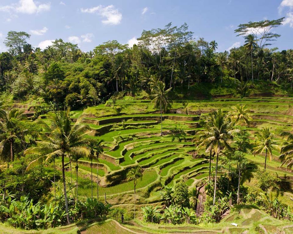 Photo of Places To Visit In Bali For Honeymoon 5/9 by Pankti Shah