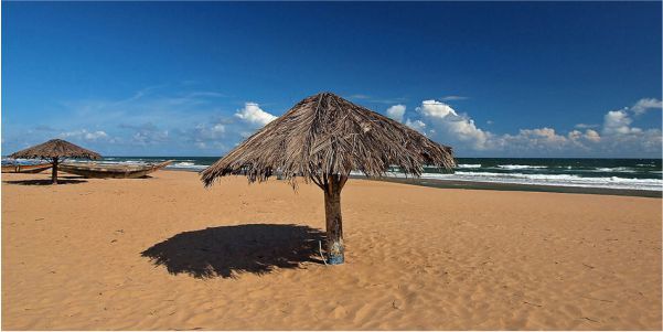 Photo of Places To Visit In Odisha 1/4 by Pankti Shah