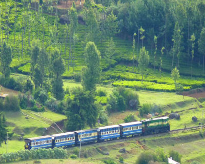 Photo of Places To Visit In Ooty 3/6 by Pankti Shah