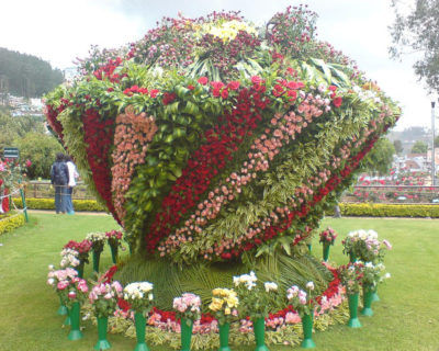 Photo of Places To Visit In Ooty 4/6 by Pankti Shah
