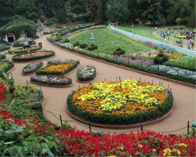 Photo of Places To Visit In Coonoor 3/6 by Pankti Shah