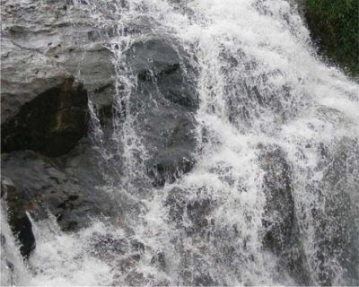 Photo of Places To Visit In Coonoor 4/6 by Pankti Shah