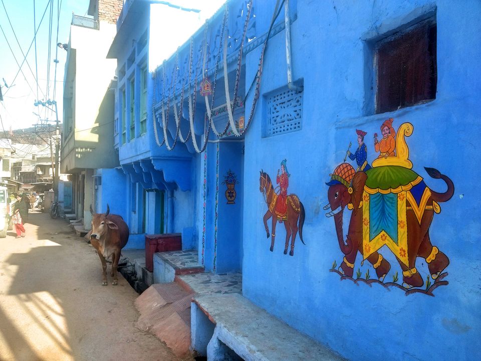 Photo of Bundi, Rajasthan, India by Debjani Paul