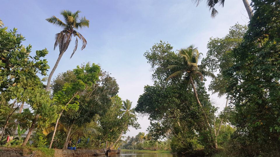 Photo of Three Days In Kerala- A Long Weekend Escape by Adyasha Dash (The Wandering Mind)