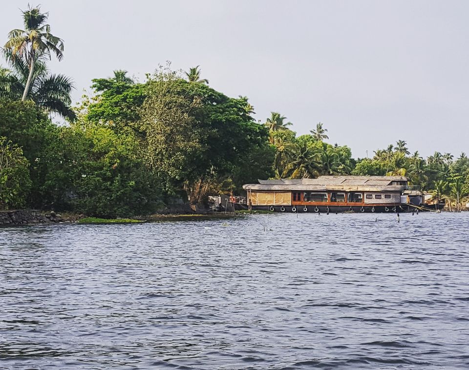 Photo of Three Days In Kerala- A Long Weekend Escape by Adyasha Dash (The Wandering Mind)