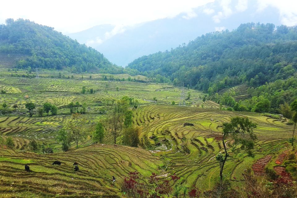 Photo of Serene Sikkim amidst thunderstorms and tremors! 7/18 by Adyasha Dash (The Wandering Mind)