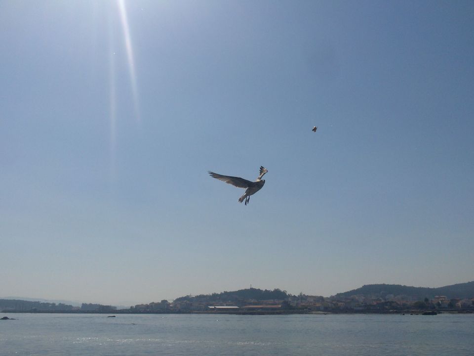 Photo of A Different Day In Spain 6/6 by Pedro Flores