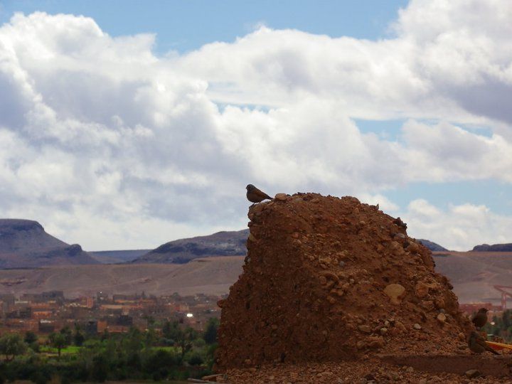 Photo of Why I love Morocco? 100 Pics to explain it... 41/152 by Pedro Flores