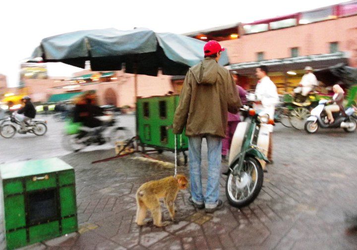 Photo of Why I love Morocco? 100 Pics to explain it... 80/152 by Pedro Flores