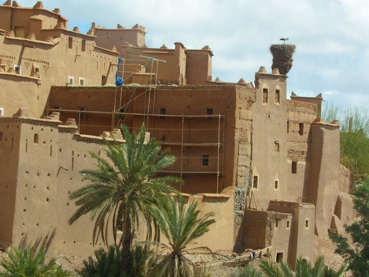 Photo of Why I love Morocco? 100 Pics to explain it... 105/152 by Pedro Flores