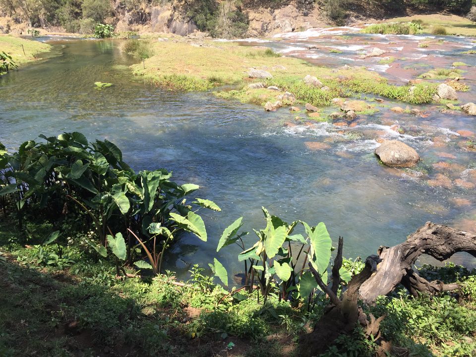 Photo of Top 6 places to visit in Ooty! 5/12 by pooja jain
