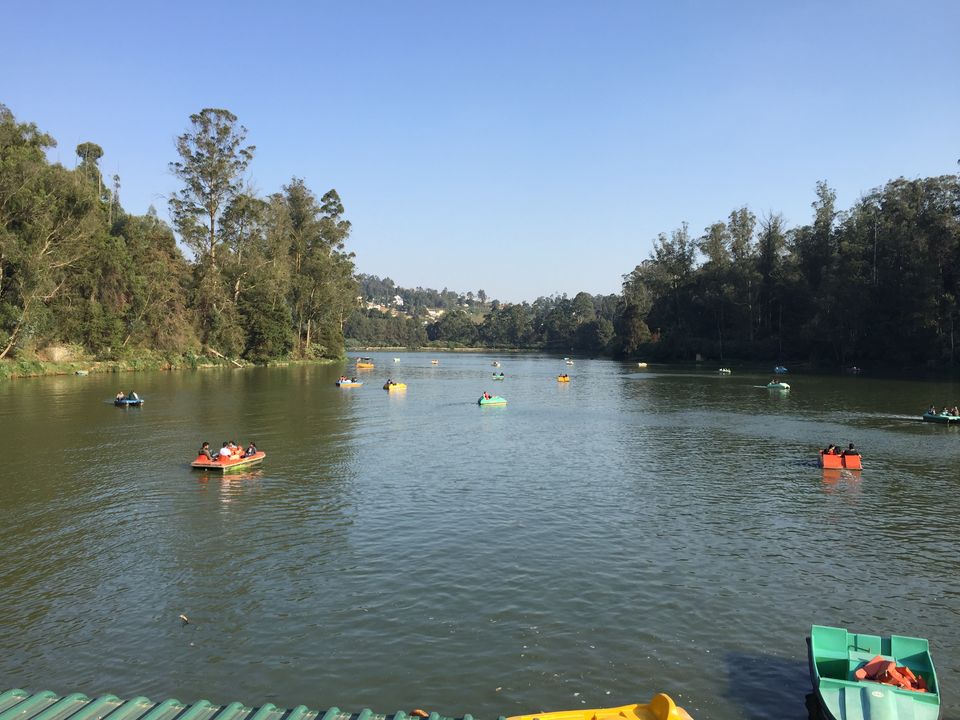 Photo of Top 6 places to visit in Ooty! 6/12 by pooja jain