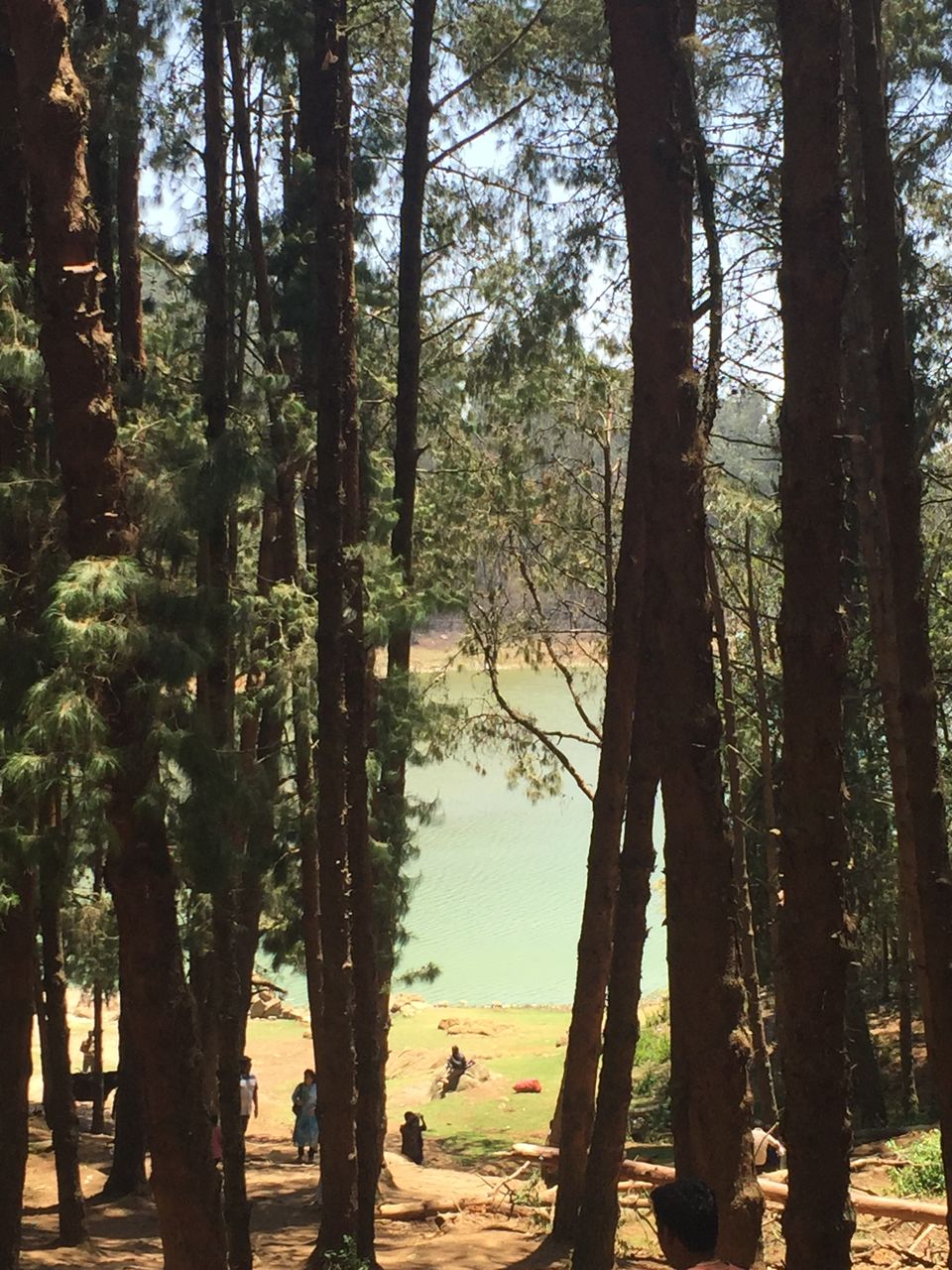 Photo of Top 6 places to visit in Ooty! 10/12 by pooja jain