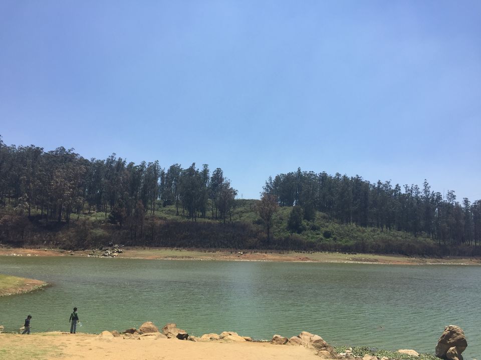 Photo of Top 6 places to visit in Ooty! 11/12 by pooja jain
