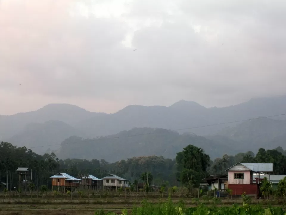 Photo of The Sound of the Wild: 28 Miles Basti, Buxa by Deshik Dutta