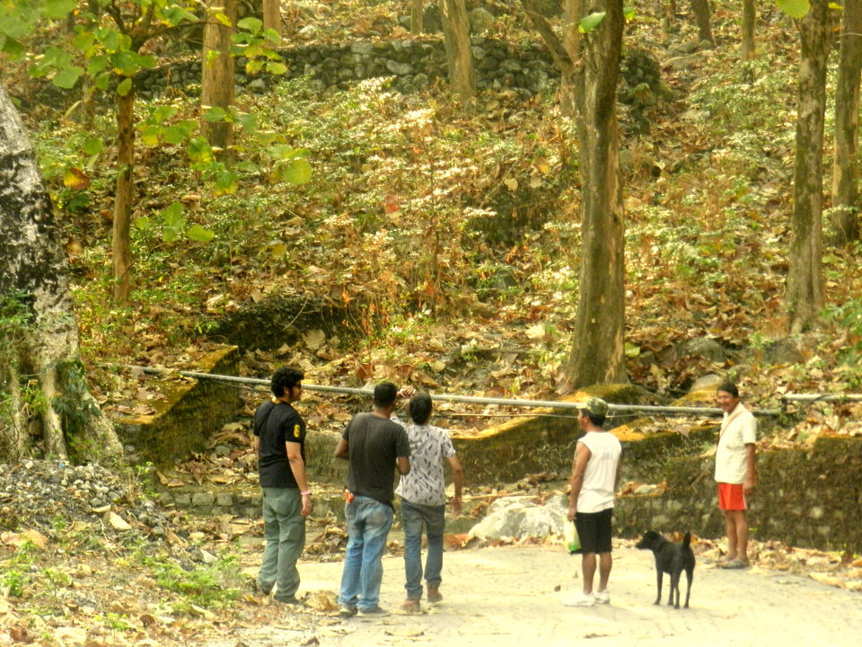 Photo of The Sound of the Wild: 28 Miles Basti, Buxa by Deshik Dutta