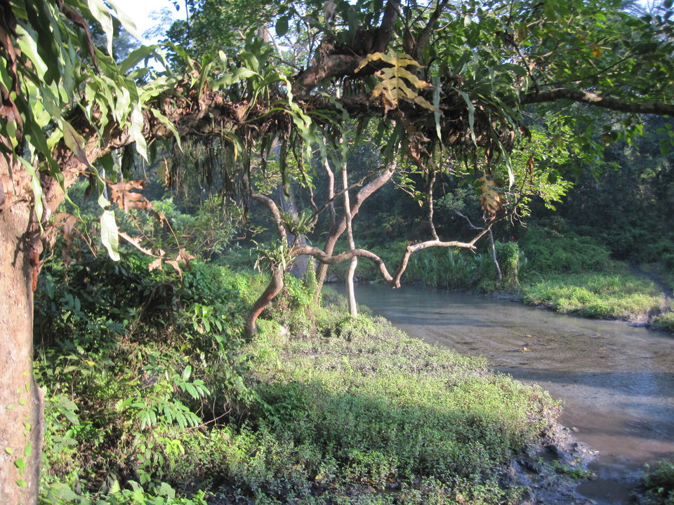 Photo of Jaldapara: Much more than the one-horned rhino national park 3/12 by Deshik Dutta