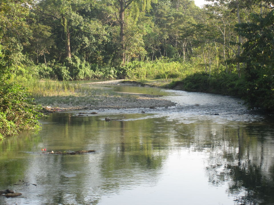 Photo of Jaldapara: Much more than the one-horned rhino national park 8/12 by Deshik Dutta