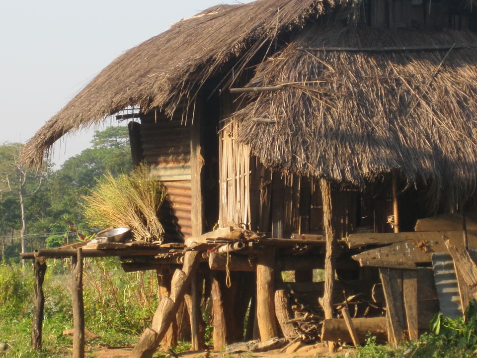 Photo of Jaldapara: Much more than the one-horned rhino national park 12/12 by Deshik Dutta