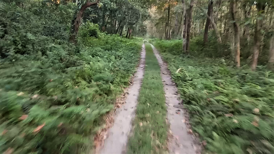 Photo of Hasimara, West Bengal, India by Deshik Dutta