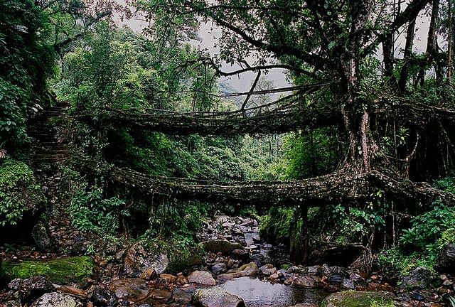 Photo of Cherrapunjee, Meghalaya, India by Krupa Shah