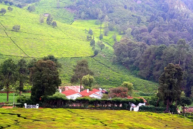 Photo of Ooty, Tamil Nadu, India by Krupa Shah