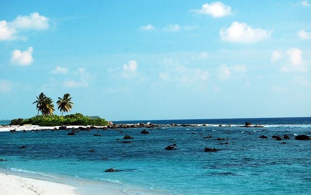 Photo of 5 Family Trips In India That Will Make It Straight To Your Wishlist by Krupa Shah