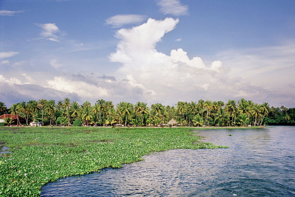 Photo of Alleppey, Kerala, India by Krupa Shah