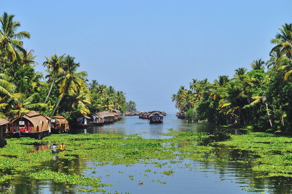Photo of Fort Kochi, Kochi, Kerala, India by Krupa Shah