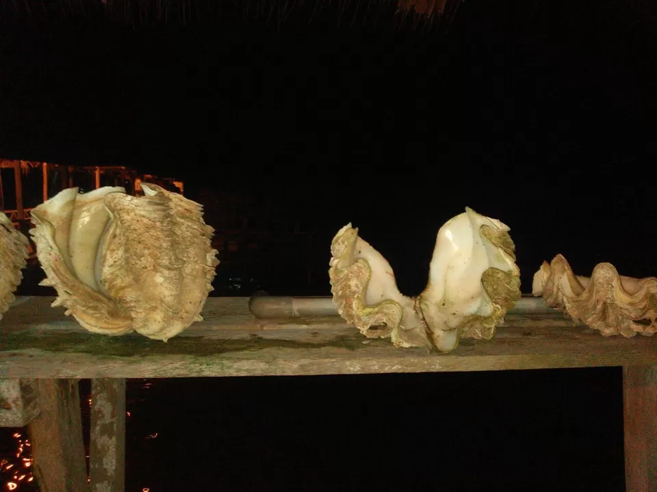 Photo of Indonesia, by Tirrtha R. Murbaadkar
