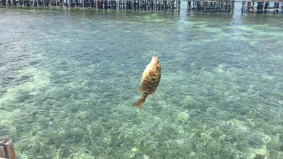 Photo of Indonesia, by Tirrtha R. Murbaadkar