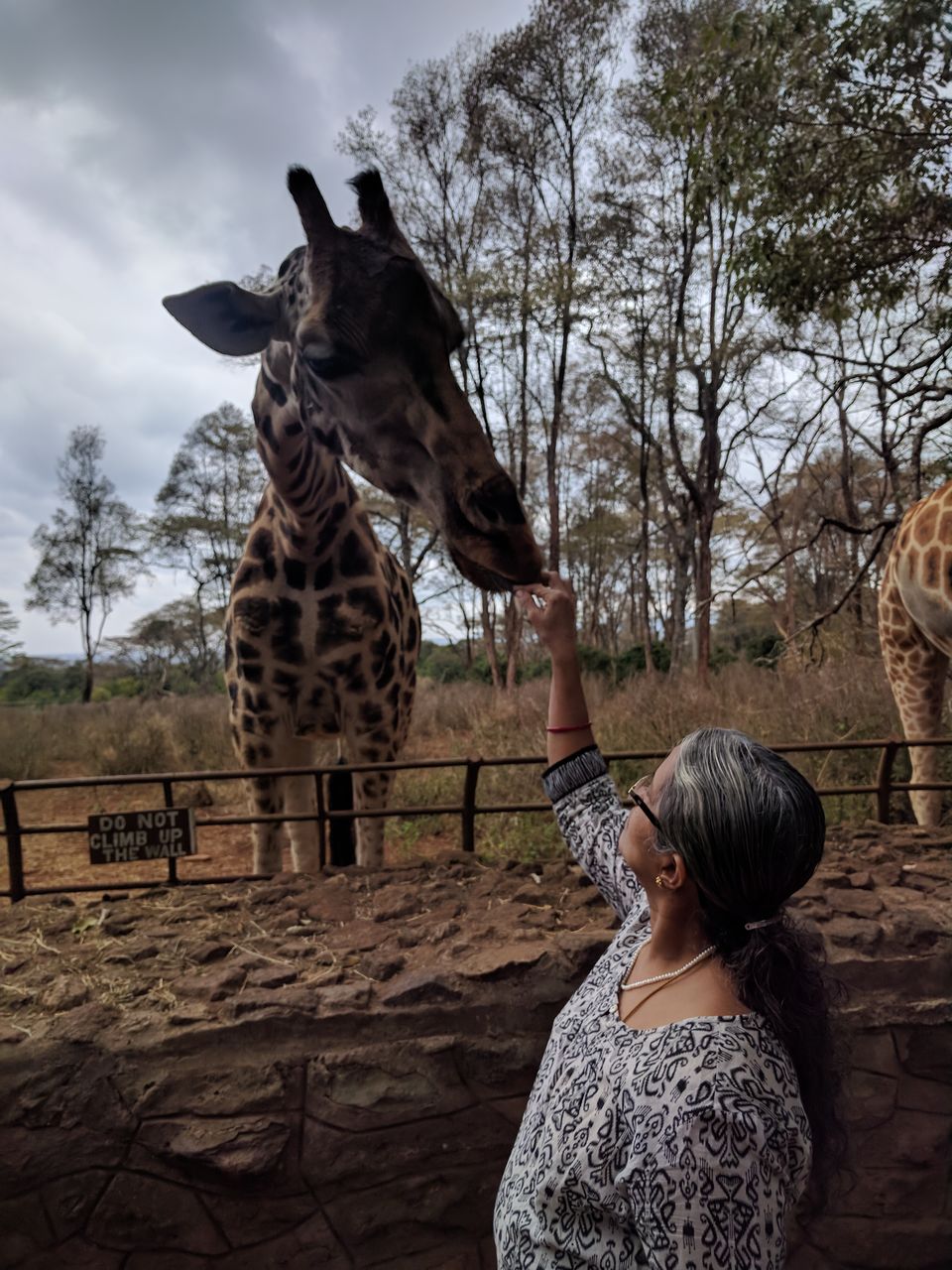 Photo of Jambo Jambo Africa - A tryst with the animals! 75/76 by Sampradha