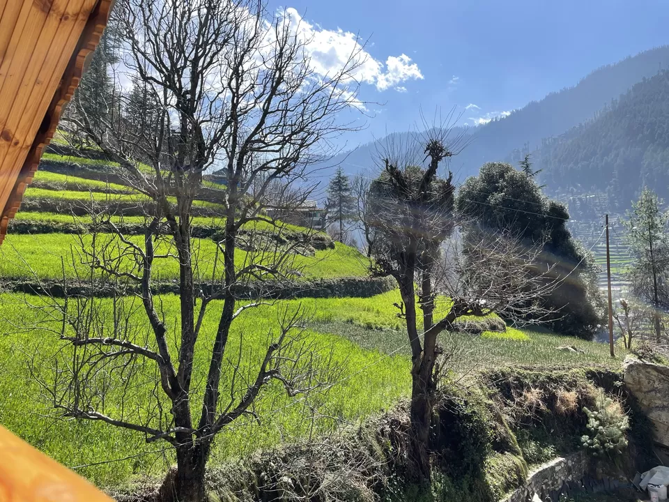 Photo of Jibhi, Himachal Pradesh, India by jaspreet singh