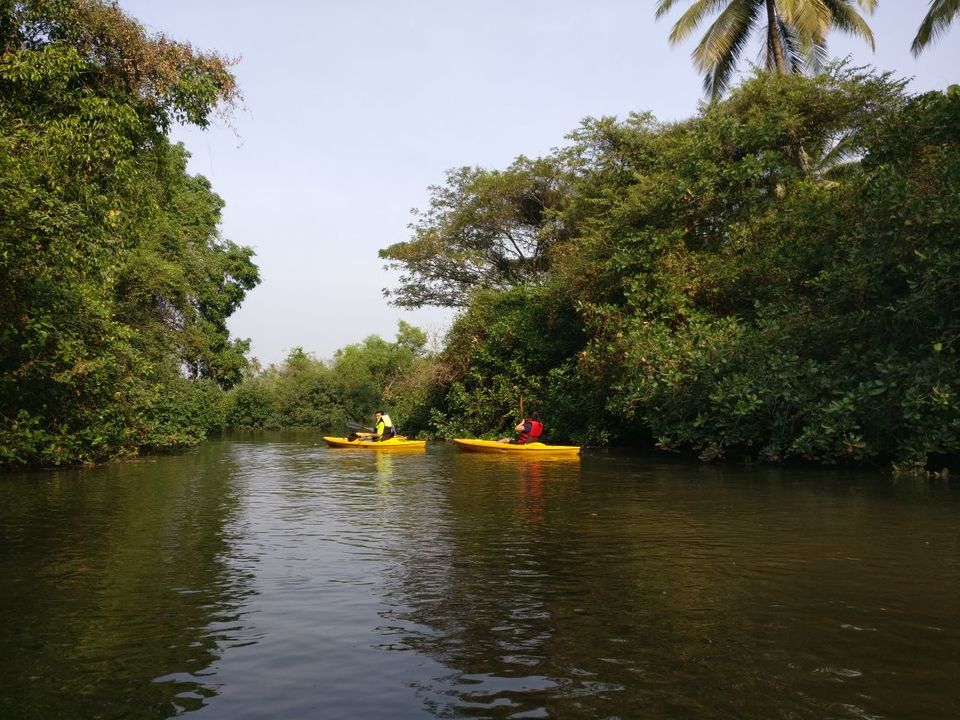 Photo of Goa Trip done differently 1/1 by Madhu Vyakaranam