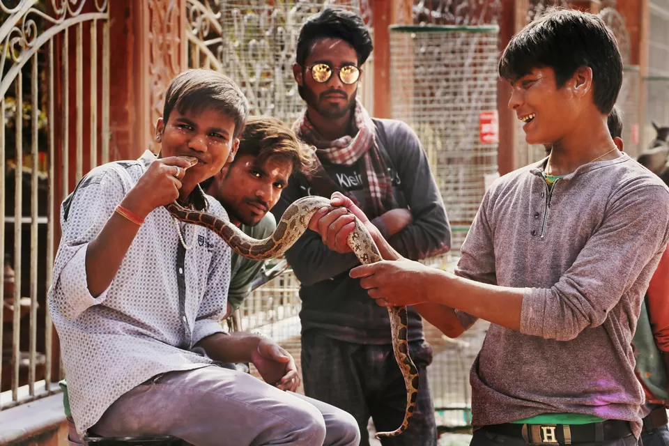 Photo of Too much of mountains already and you need a getaway from Delhi? Try Vrindavan once. (please?) by Aayushi Sawarn