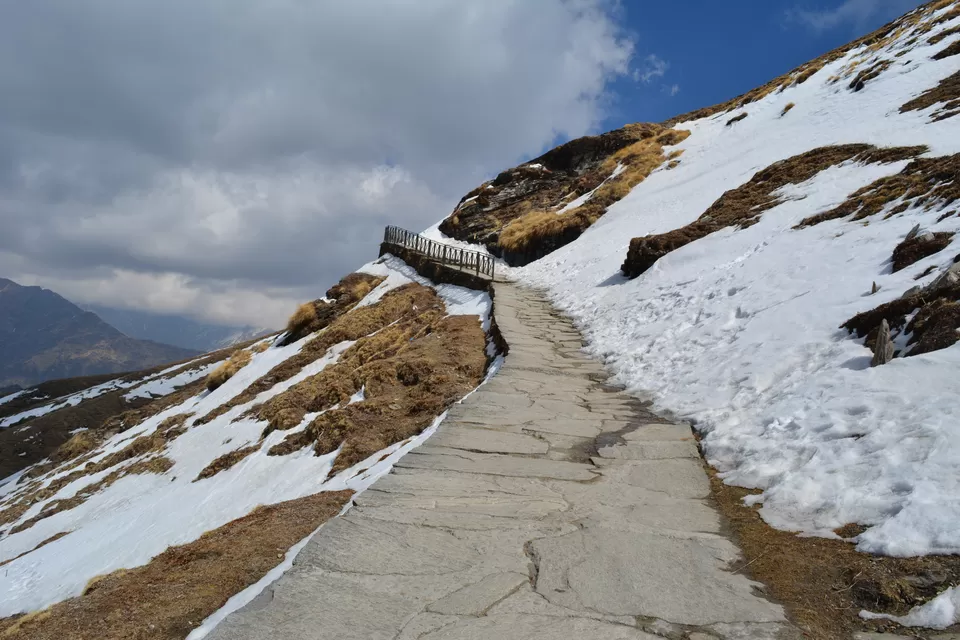 Photo of Chopta, Uttarakhand, India by vinti