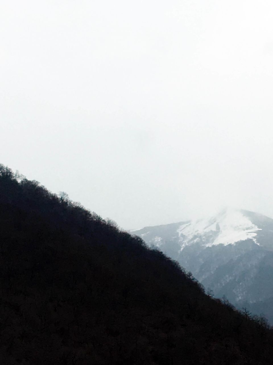 Photo of Gadauri,Georgia - Where I Fell In Love With The Snow by Panchami Bekal