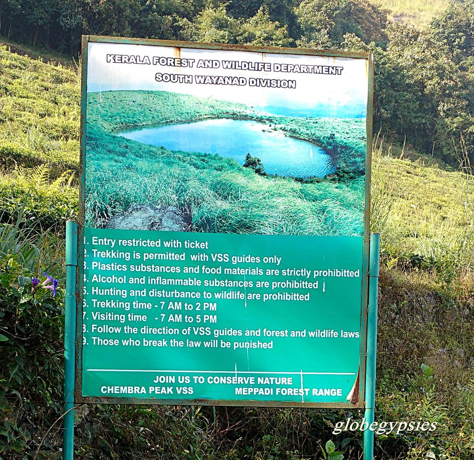 Photo of Chembra Peak Heart Lake, Kottappadi part, Kerala, India by Panchami Bekal