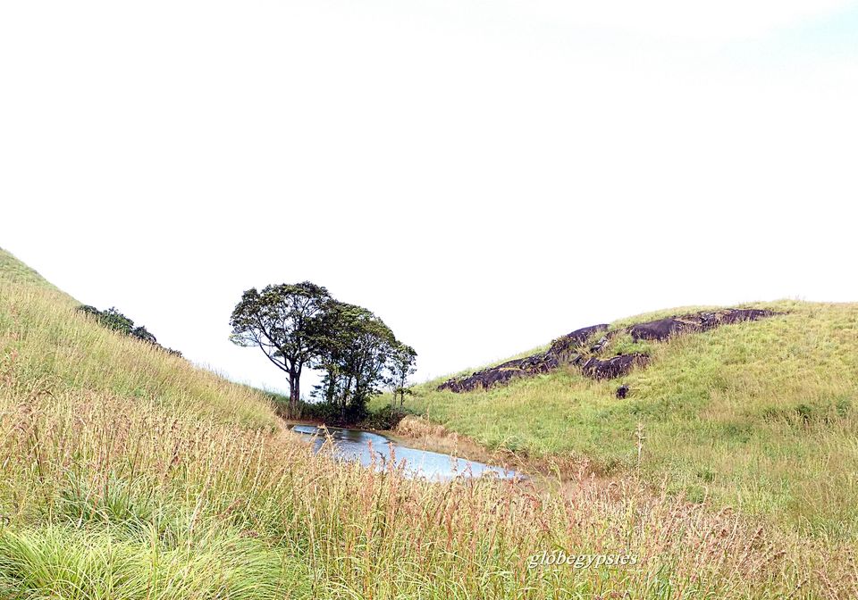 Photo of Chembra Peak Heart Lake, Kottappadi part, Kerala, India by Panchami Bekal