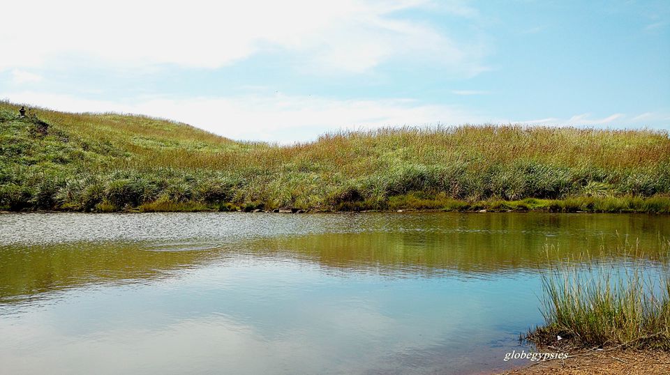 Photo of Chembra Peak Heart Lake, Kottappadi part, Kerala, India by Panchami Bekal