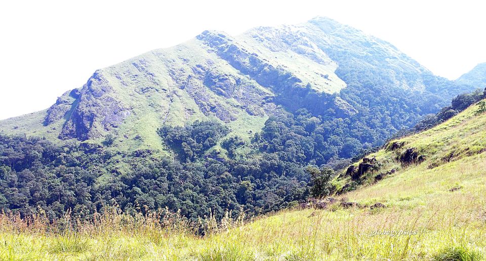 Photo of Chembra Peak Heart Lake, Kottappadi part, Kerala, India by Panchami Bekal