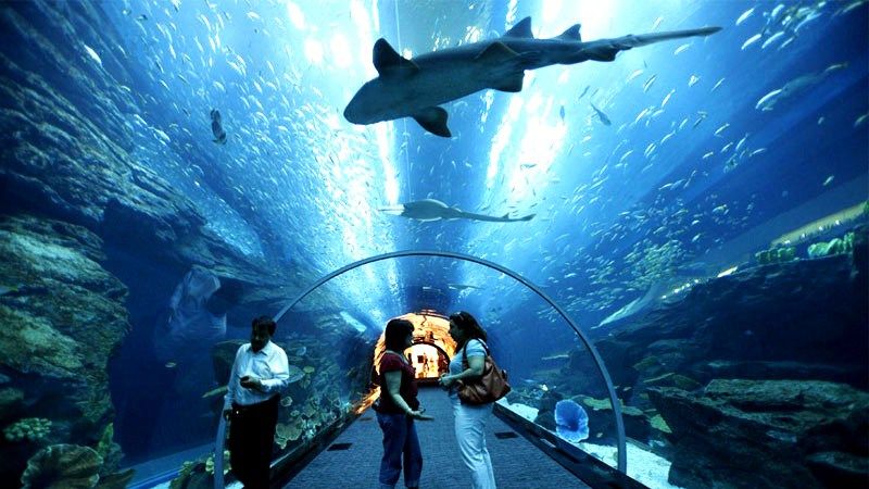 Photo of UnderWater World Langkawi Jalan Pantai Chenang Langkawi Kedah Malaysia by Panchami Bekal