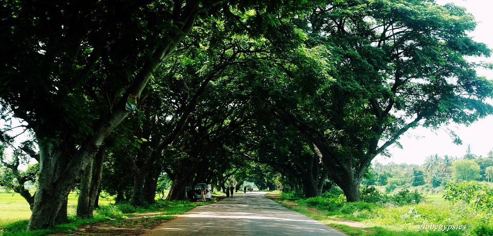 Photo of Kanakapura Road, Manjunath Garden, Bengaluru, Karnataka, India by Panchami Bekal