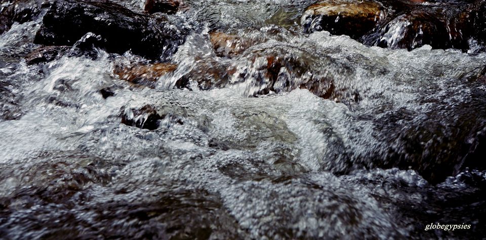 Photo of Bharachukki Waterfalls, Cauvery Beat, Karnataka, India by Panchami Bekal
